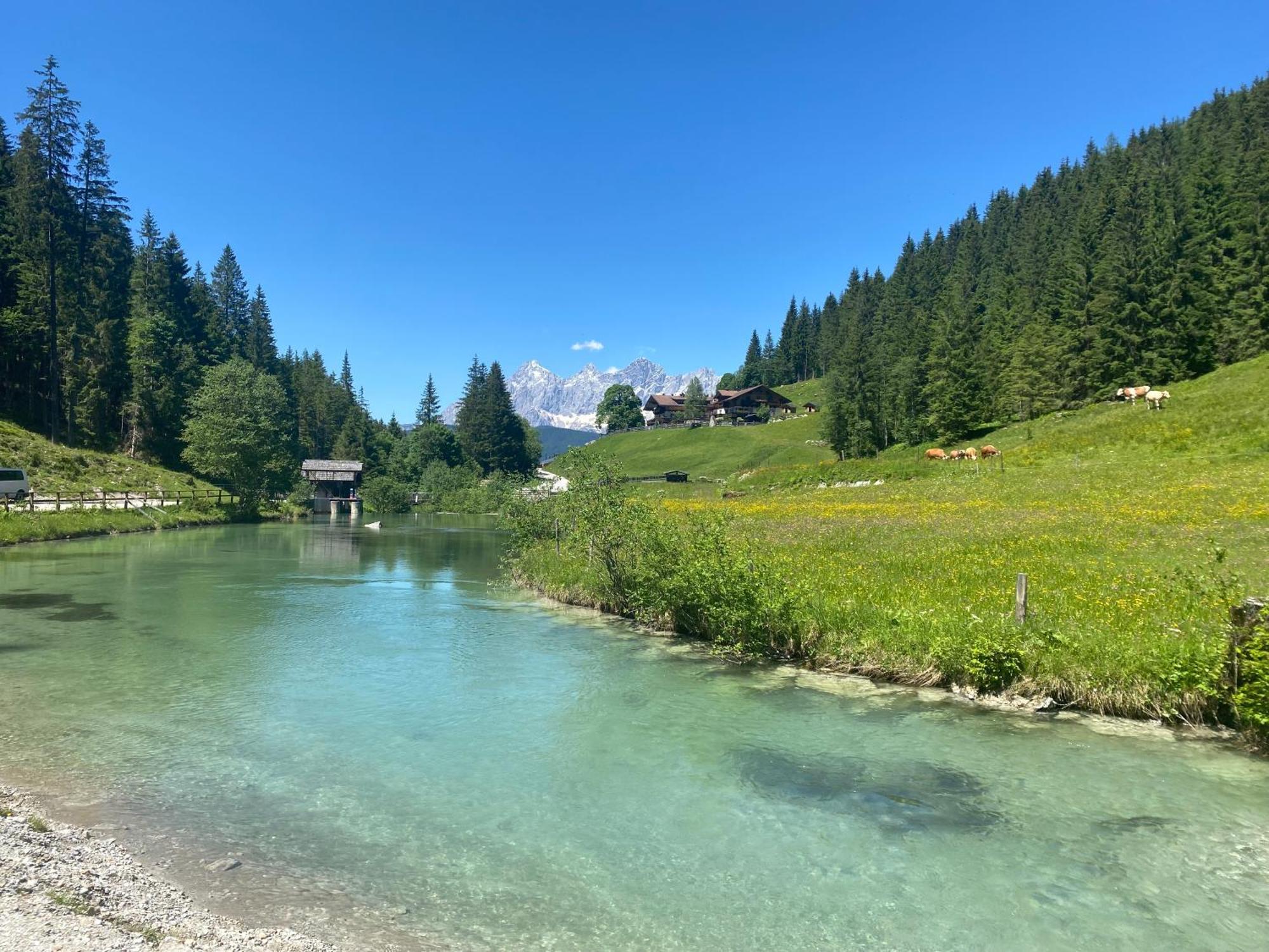 Appartements By Chalet Reiteralm -Sommercard Шладминг Екстериор снимка