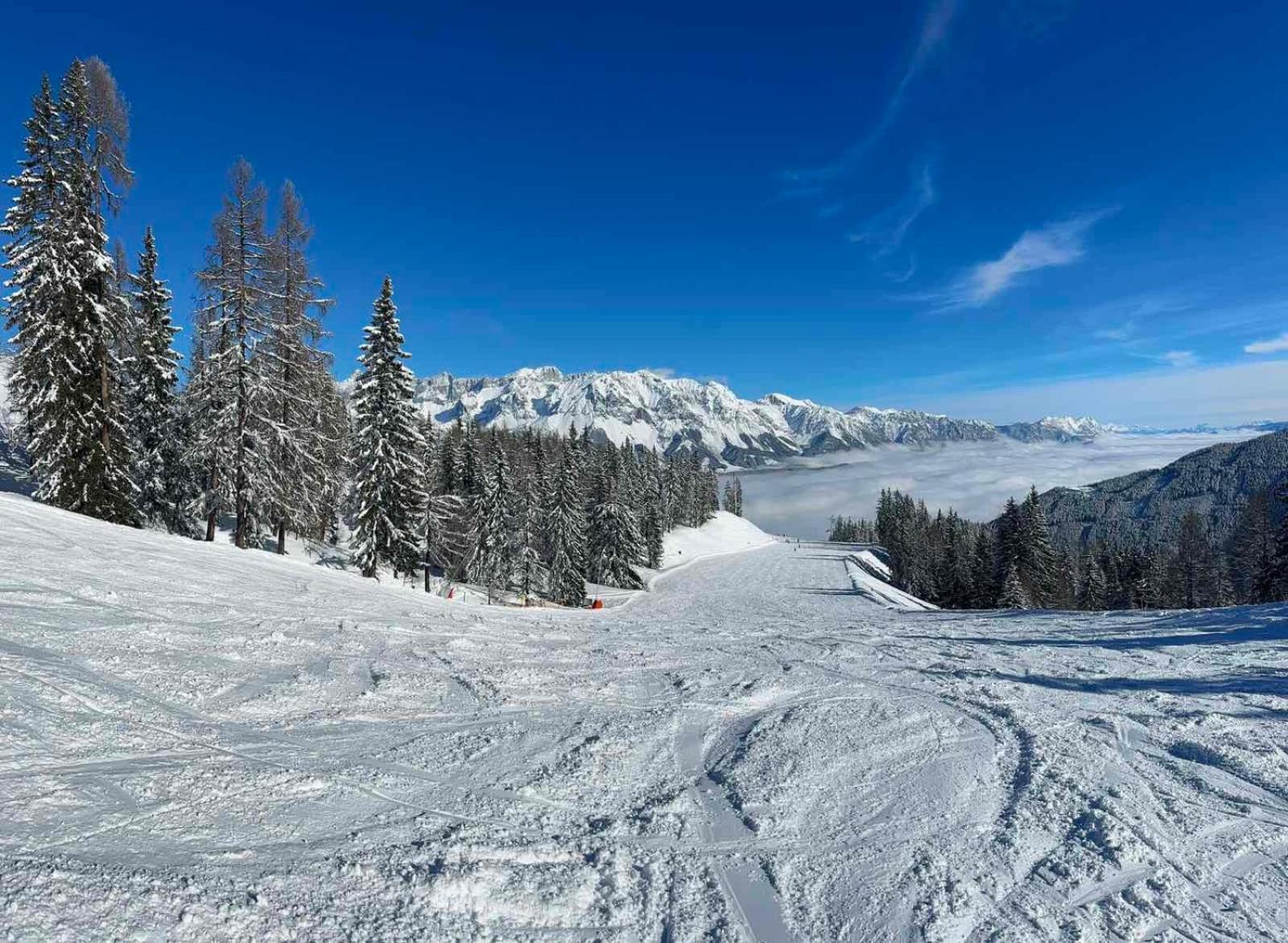 Appartements By Chalet Reiteralm -Sommercard Шладминг Екстериор снимка
