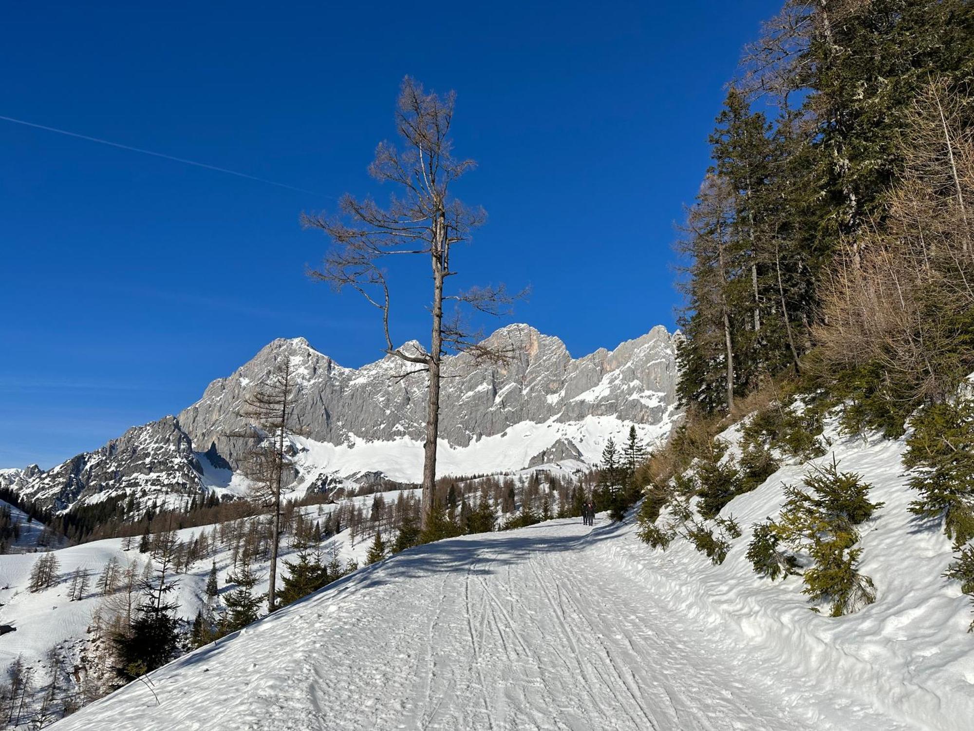 Appartements By Chalet Reiteralm -Sommercard Шладминг Екстериор снимка
